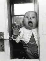 Baby-Window-Cleaner-322