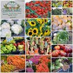ventura county farmers market