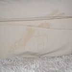 pee on couch
