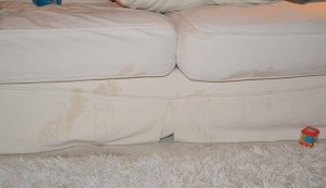 pee on couch 2