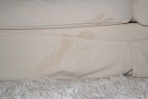 pee on couch