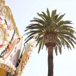 palmtree