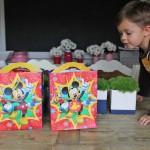 plane activity bags