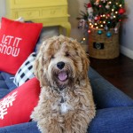 christmas 20