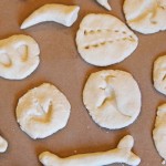 diy dinosaur bones with play dough