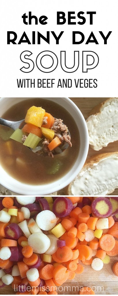 easy beef and vegetable soup recipe