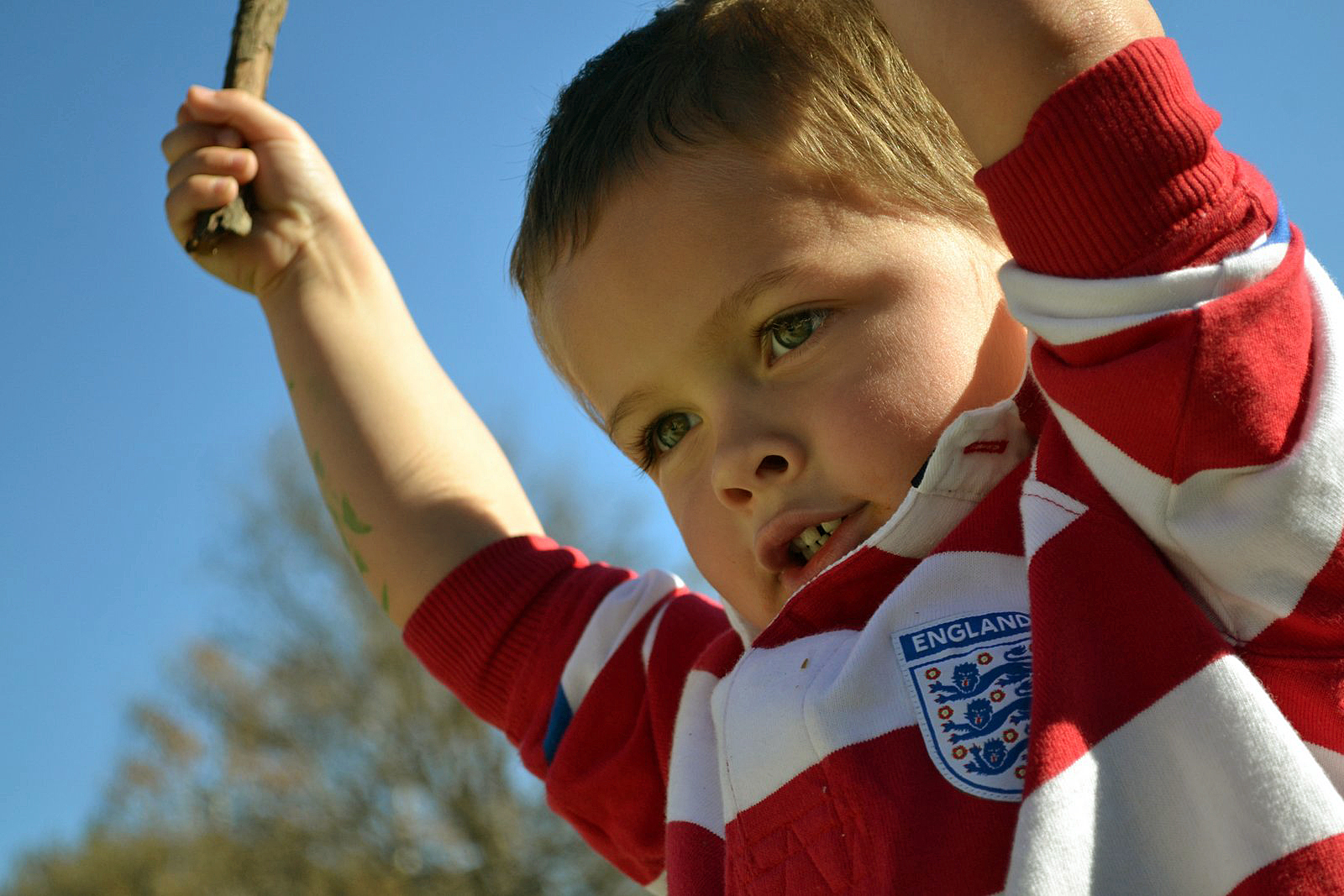 wes with stick