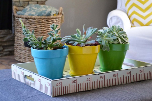 indoorplants