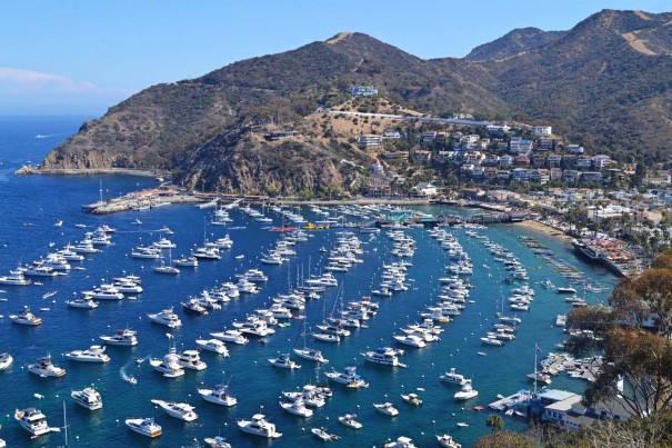 Catalinaisland