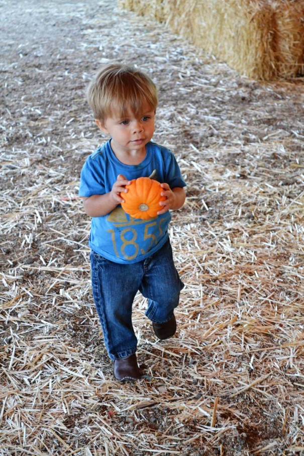 sawyer pumpkin