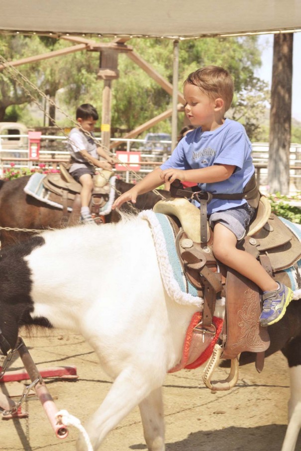 wes riding pony