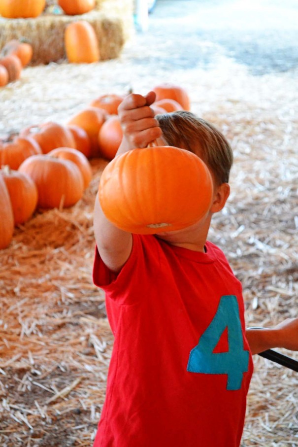 wespumpkin head