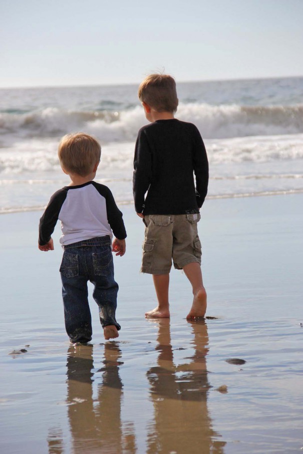 beach brothers