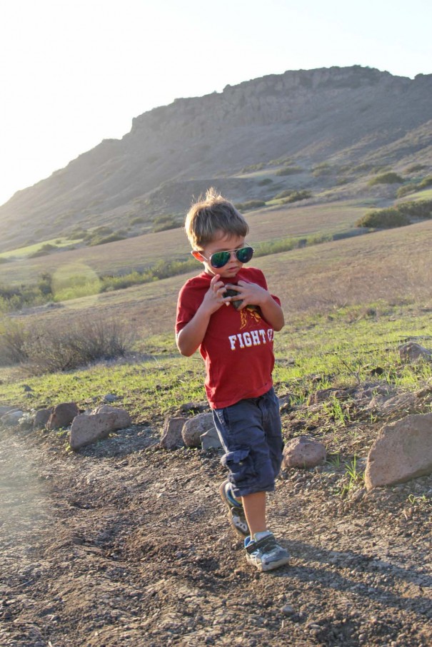 wes with rocks