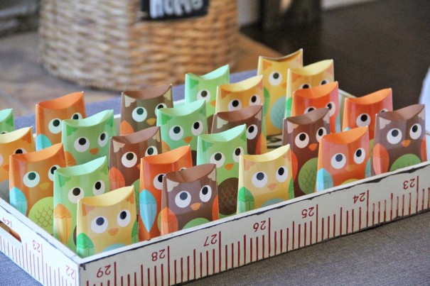 owl favors