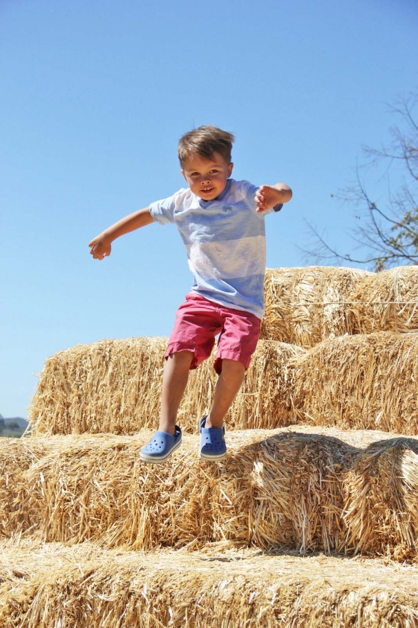 underwood farms hay stack