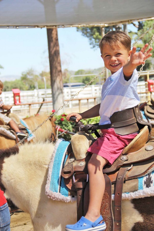 underwood farms pony