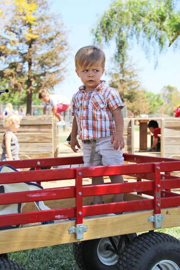 underwood farms wagon