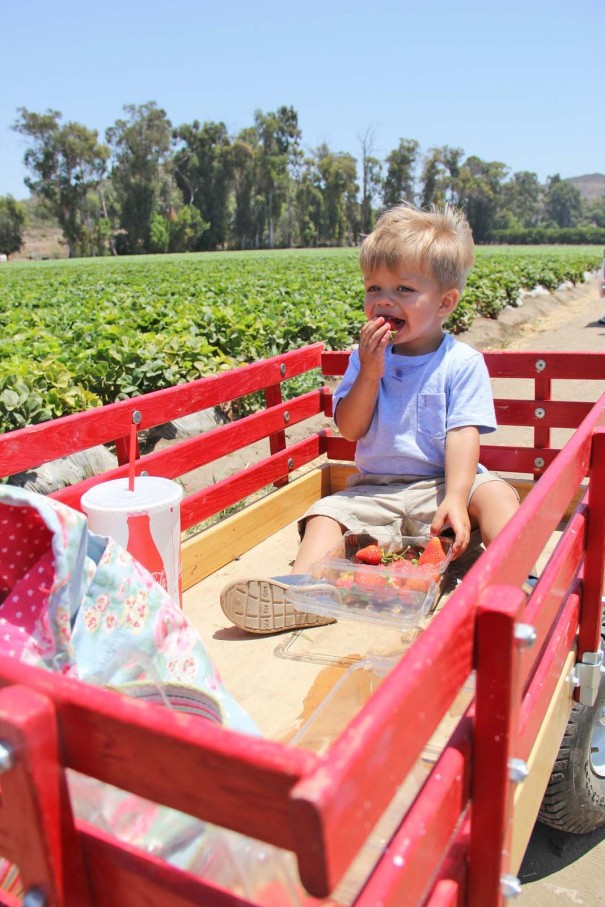 sawyer in wagon