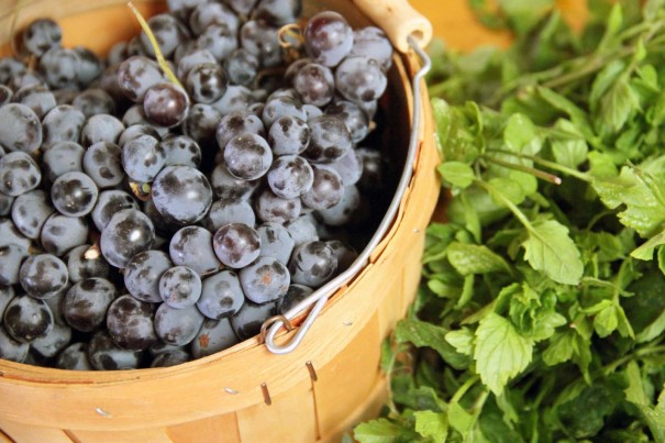 grapes and mint from garden