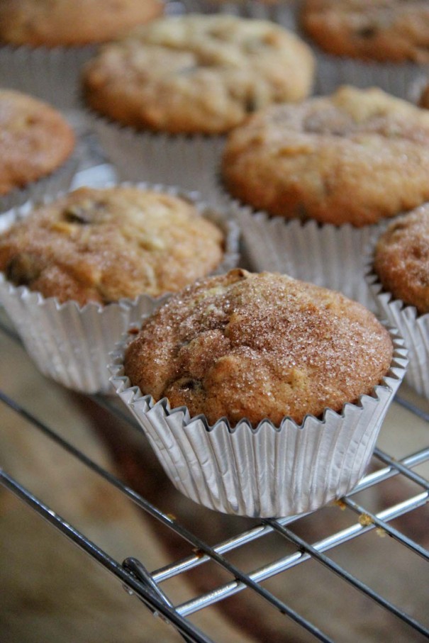 chocolate chip banana nut muffins recipe