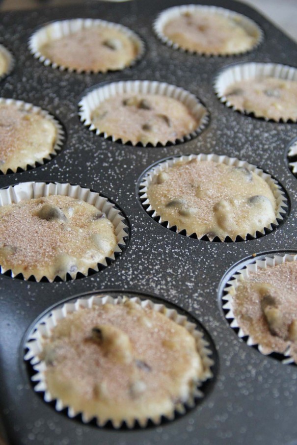 cinnamon sugar muffins