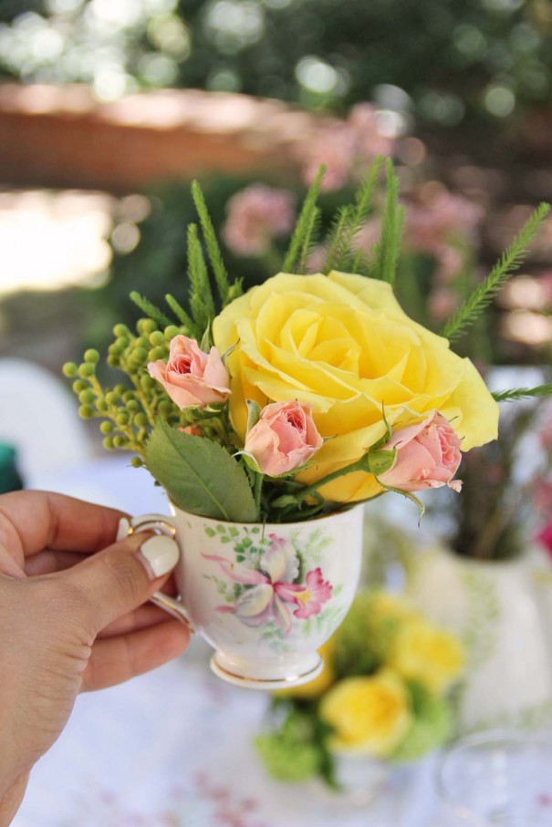 tea cup roses