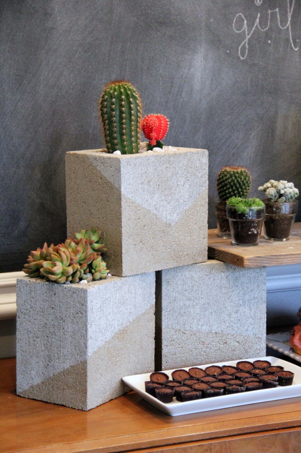 cinder block planter cacti diy