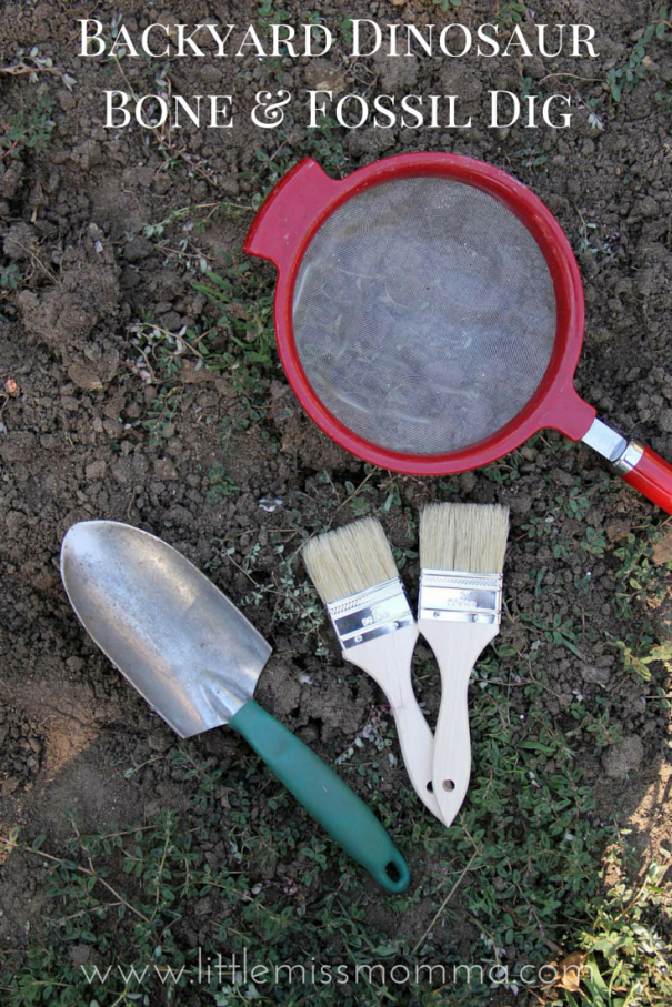 Backyard Dinosaur Bone and Fossil Dig