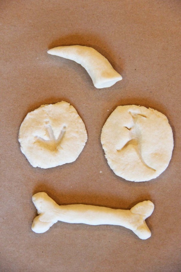 diy dinosaur bones and fossils