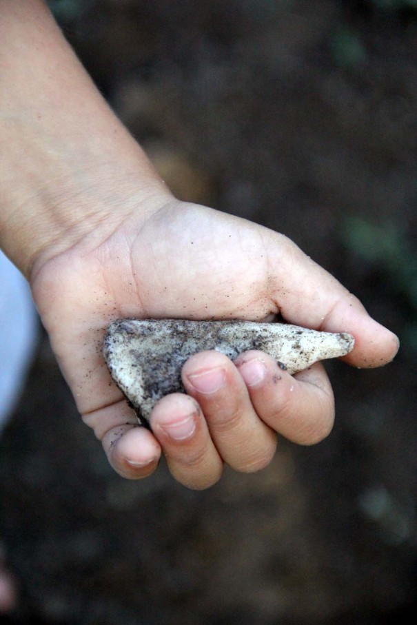 diy raptor claw