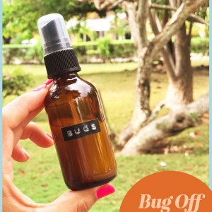 DIY: Bug Off Spray